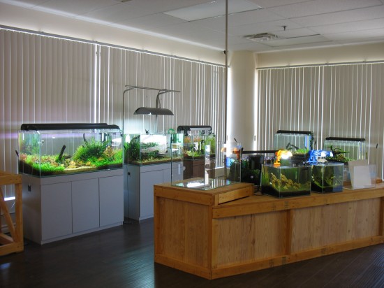 AquaInspiration. Aquarium collection