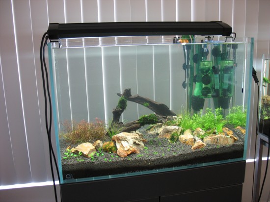 AquaInspiration. New planted tank