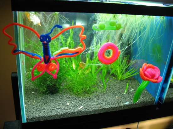 Aquarium decoration by kinds