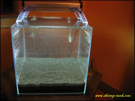 Shrimp-Tank.com Iwagumi shrimp cube. First water in the tank